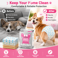Disposable Female Dog Diapers – XS 10-Pack, Soft & Absorbent